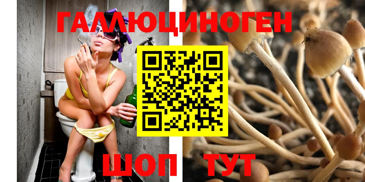 Галлюциногенные грибы мицелий Балтийск
