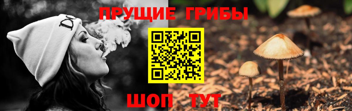 Балтийск  Галлюциногенные грибы ЛСД  наркошоп  Вход с VPN 